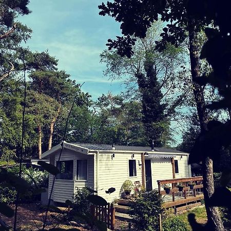 Knus Chalet Midden In De Bossen Nunspeet Exteriör bild