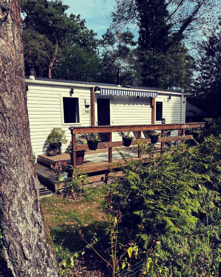 Knus Chalet Midden In De Bossen Nunspeet Exteriör bild