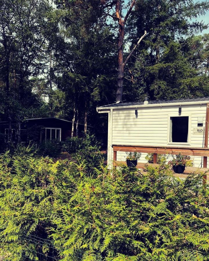 Knus Chalet Midden In De Bossen Nunspeet Exteriör bild