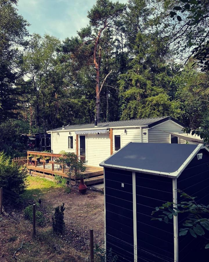 Knus Chalet Midden In De Bossen Nunspeet Exteriör bild