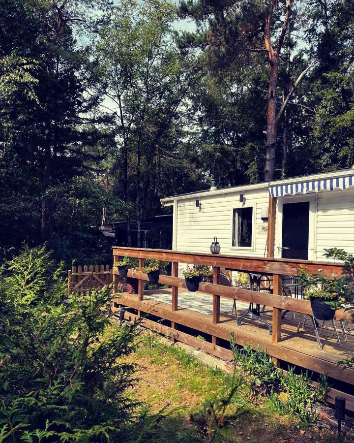 Knus Chalet Midden In De Bossen Nunspeet Exteriör bild